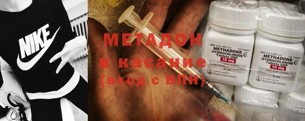 индика Алексин