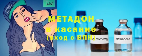 индика Алексин