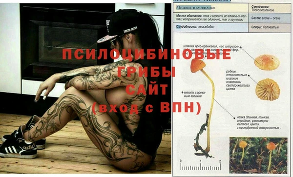 тгк Алексеевка
