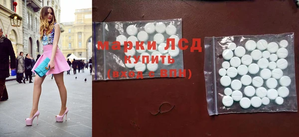 индика Алексин