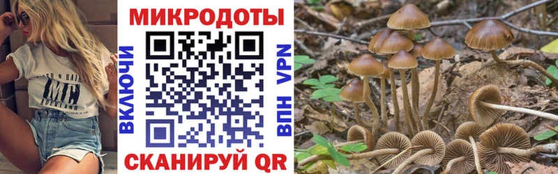 Галлюциногенные грибы Psilocybine cubensis  купить наркоту  Тулун 